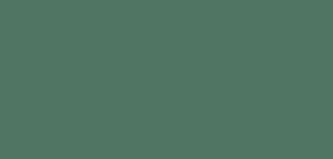 CANSON MI-TEINTES CARTONCINO 160 G - VERDE SALVIA (N. 190)