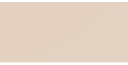 CANSON MI-TEINTES ART PAPER 160 G LILY NO. 110