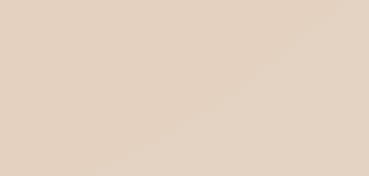 CANSON MI-TEINTES CARTONCINO 160 G - GIGLIO (N. 110)