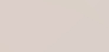 CANSON MI-TEINTES CARTONCINO 160 G - GRIGIO CHIARO (N. 120)