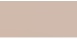 CANSON MI-TEINTES CARTONCINO 160 G - GRIGIO FLANELLA (N. 122)