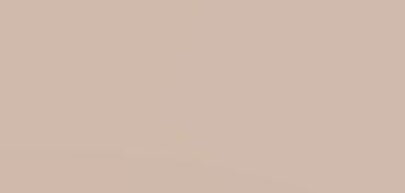 CANSON MI-TEINTES COLOURED PAPER 160 G - FLANNEL GREY NO. 122