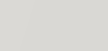 CANSON MI-TEINTES CARTONCINO 160 G - BIANCO (N. 335)