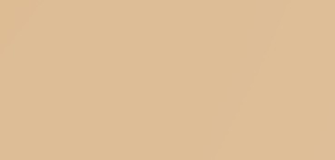CANSON MI-TEINTES CARTONCINO 160 G - CANAPA CHIARA (N. 340)