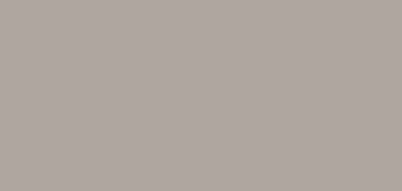 CANSON MI-TEINTES CARTONCINO 160 G - GRIGIO TRIANON (N. 343)
