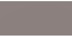CANSON MI-TEINTES CARTONCINO 160 G - GRIGIO ARDESIA (N. 345)