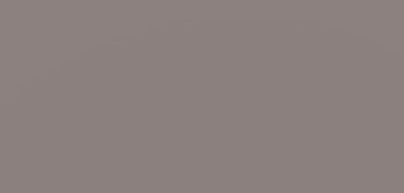 CANSON MI-TEINTES CARTONCINO 160 G - GRIGIO ARDESIA (N. 345)