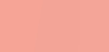 CANSON CARTON DE COULEUR MI-TEINTES 160 G ROSE FONCÉ Nº 352