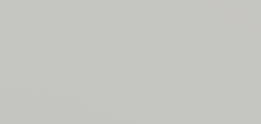 CANSON CARTON DE COULEUR MI-TEINTES 160 G GRIS CIEL Nº 354