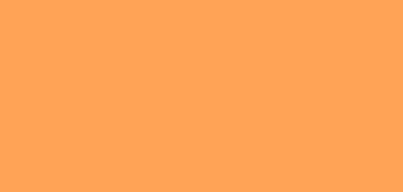 CANSON MI-TEINTES CARTONCINO 160 G - SALMONE (N. 384)