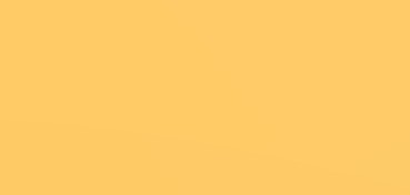 CANSON MI-TEINTES CARTONCINO 160 G - BOTTON D'ORO (N. 400)