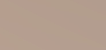 CANSON CARTON DE COULEUR MI-TEINTES 160 G GRIS CLAIR Nº 426