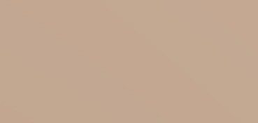 CANSON CARTON DE COULEUR MI-TEINTES 160 G GRIS FUMÉE Nº 429