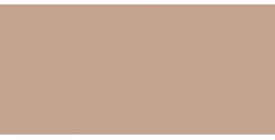 CANSON MI-TEINTES CARTONCINO 160 G - GRIGIO SCREZIATO (N. 431)