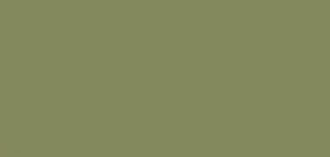 CANSON MI-TEINTES CARTONCINO 160 G - VERDE OCEANO (N. 448)