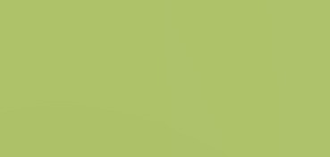 CANSON CARTON DE COULEUR MI-TEINTES 160 G VERT POMME Nº 475