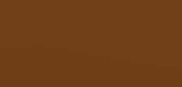 CANSON MI-TEINTES CARTONCINO 160 G - BRUNO SCURO (N. 501)