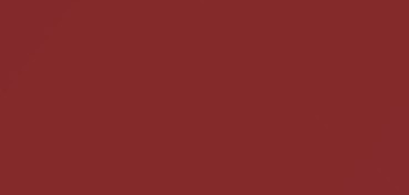 CANSON MI-TEINTES CARTONCINO 160 G - ROSSO VINACCIA (N. 503)