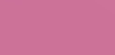 CANSON CARTON DE COULEUR MI-TEINTES 160 G VIOLET Nº 507