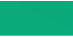 CANSON MI-TEINTES ART PAPER 160 G VIRIDIAN NO. 575