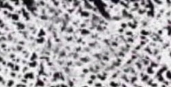 CONTÉ À PARIS CARRÉ BLANC HB BLISTER DE 2 UNITÉS