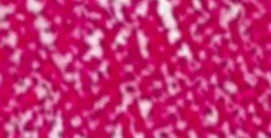 CONTÉ À PARIS CARRÉ CYCLAMEN 41