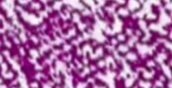 CONTÉ À PARIS CARRE PERSIAN VIOLET 55