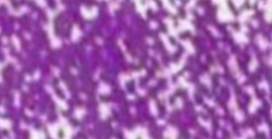 CONTÉ À PARIS CARRE VIOLET 05