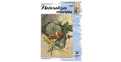 LIBRO (IN SPAGNOLO) - LIBROS DE TÉCNICAS ARTÍSTICAS LEONARDO Nº 24 NATURALEZAS MUERTAS