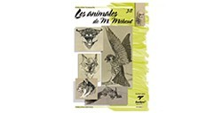 LIBRO (IN SPAGNOLO) - LIBROS DE TÉCNICAS ARTÍSTICAS LEONARDO Nº 38 LOS ANIMALES DE M. MÉHEUT