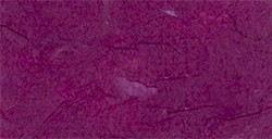 MULBERRY CARTA DI GELSO 35 G PRUGNA