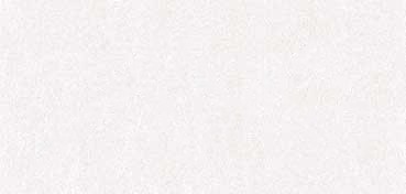 CARTA VELINA 8 FOGLI 18 G - BIANCO