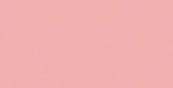 COPIC CIAO PENNARELLO LIGHT PRAWN R22