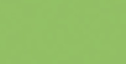 COPIC CIAO PENNARELLO NILE GREEN G07