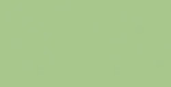 COPIC CIAO PENNARELLO APPLE GREEN G14