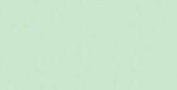 COPIC CIAO PENNARELLO LIME GREEN G21