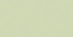 COPIC CIAO PENNARELLO SPRING DIM GREEN G82