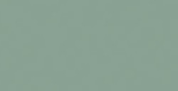 COPIC CIAO PENNARELLO BUSH BG96