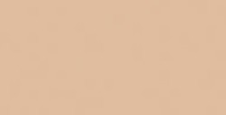 COPIC CIAO MARKER CHAMOIS E35