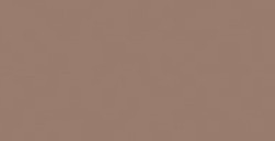 COPIC CIAO PENNARELLO WALNUT E59