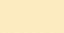 COPIC CLASSIC MARKER BOUTON D'OR Y21