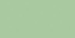 COPIC CLASSIC MARKER VERT POIS YG63
