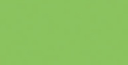 COPIC CLASSIC MARKER VERT VERONESE G09