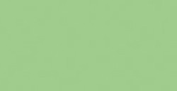 COPIC CLASSIC MARKER VERT POMME G14