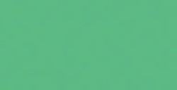 COPIC CLASSIC MARKER VERT PERROQUET VIF G19