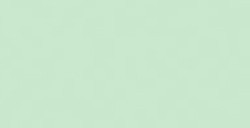 COPIC CLASSIC MARKER VERT CITRON G21