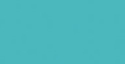 COPIC CLASSIC MARKER BLEU CANARD BG49