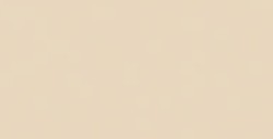 COPIC CLASSIC MARKER DULL IVORY E43