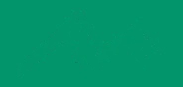 PENNARELLO PER PORCELLANA BRILLANTE VERDE SCURO