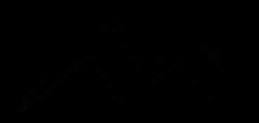 PENNARELLO PER PORCELLANA BRILLANTE NERO